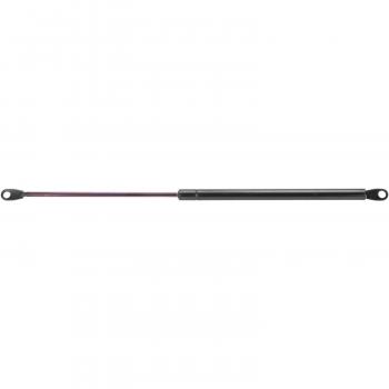 Strong Arm C6202 Tailgate Lift Support product image 2 of 6