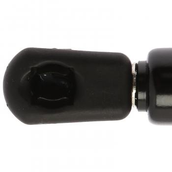 Strong Arm D4184 - Back Glass Lift Support Strong Arm D4184 Back Glass Lift Support product image 1 of 6