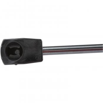 Strong Arm D4316 - Back Glass Lift Support Strong Arm D4316 Back Glass Lift Support product image 1 of 6