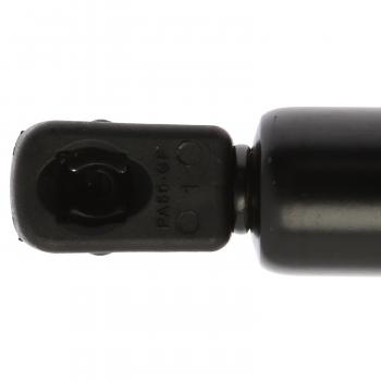 Strong Arm D4602 - Liftgate Lift Support Strong Arm D4602 Hatch Lift Support product image 1 of 6