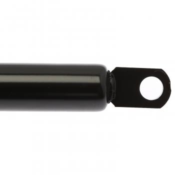 Strong Arm D4631 Hood Lift Support product image 1 of 6