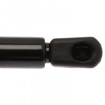 Strong Arm D6216 - Liftgate Lift Support Strong Arm D6216 Hatch Lift Support product image 1 of 6