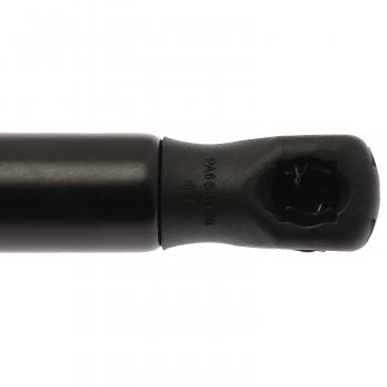 Strong Arm D6876 - Liftgate Lift Support Strong Arm D6876 Liftgate Lift Support product image 1 of 6