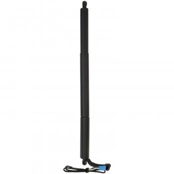 Strong Arm PG5011R Liftgate Lift Support product image 1 of 4