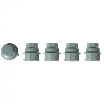 Wagner Brake BD142946 Wheel Fastener Cover product image 1 of 1