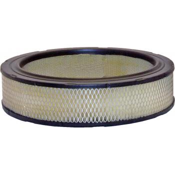 Wix 46042 Air Filter product image 2 of 3